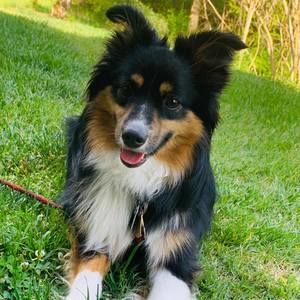 Meet your Posher, Helen